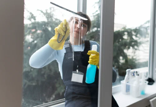 Nettoyage de vitres intérieures et extérieures à Sainte-Suzanne-et-Chammes
